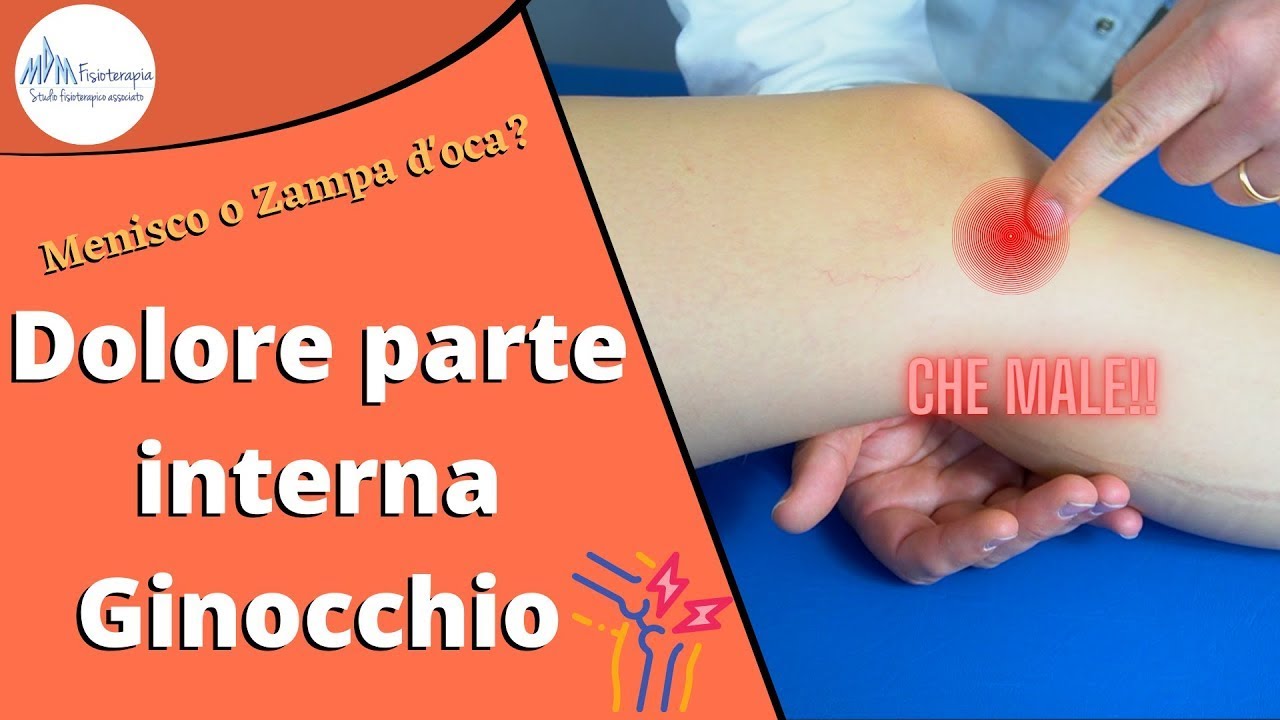 Dolore parte interna ginocchio | Menisco o Zampa d'Oca?