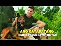 Isang Aso na Handang Ialay ang Buhay Para sa Kanyang Amo