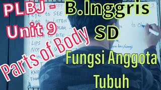 Bahasa inggris murid sd (kelas 2 ...