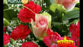 Красиви цветя в дома и градината - YouTube