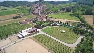 Tenuta Torciano Winery