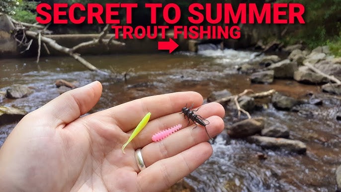 The BEST BAIT for Catching Stocked BROWN TROUT? (Instant & nonstop action!)  