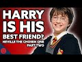 What If Neville Was The Chosen One - Part 2 | Harry Potter Film Theory