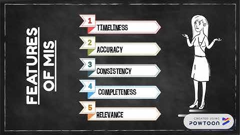 Management information system chapter 2