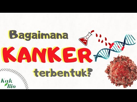 APA ITU KANKER? | Bahan Kimia Penyebab Kanker