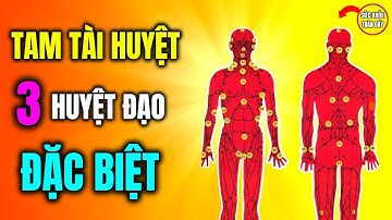3 Huyệt Đạo Quan Trọng Đặc Biệt Tự Chữa Lành Cơ Thể - Tam Tài Huyệt