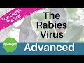 The Rabies Virus | ADVANCED | practice English with Spotlight