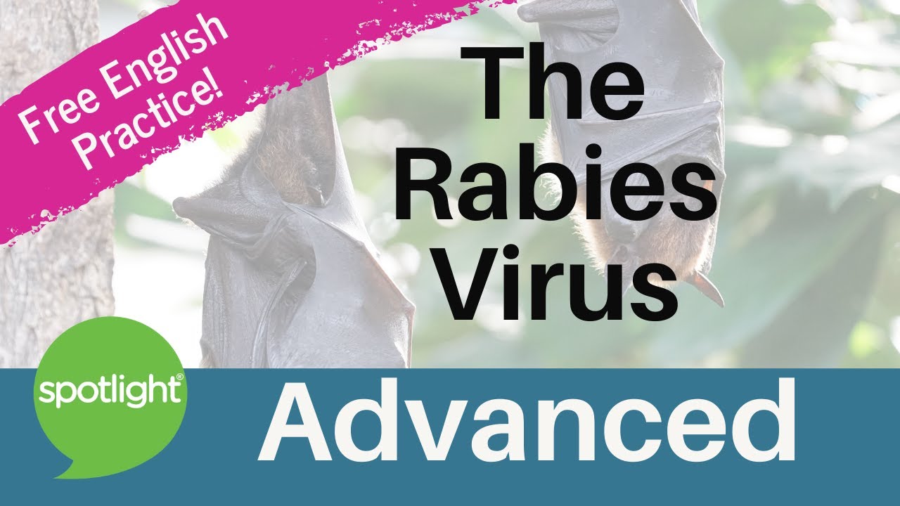 The Rabies Virus | ADVANCED | practice English with Spotlight - YouTube