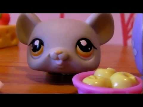 Nom Nom Nom/Hamster Dance Song - LPS Music Videos