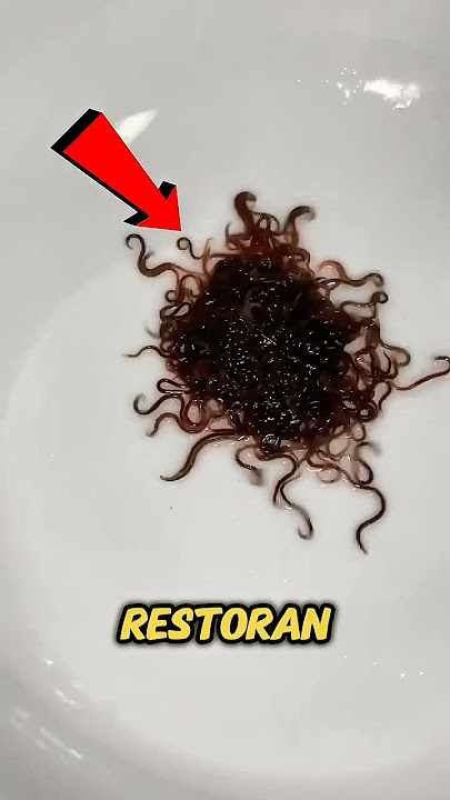 Jangan Pernah Makan Ini di Restoran‼️😱