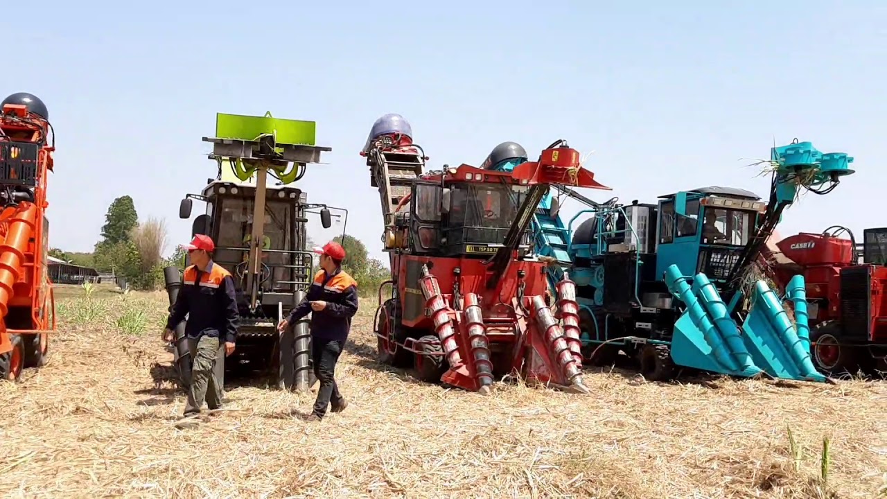 รวมรถตัดอ้อยในไทย #ThaiSugarcaneHarvesters #YANMAR #PATTANAKIT #SD-TECH #ZOOMLION #CASE #MAX