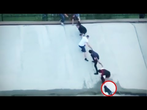 INTENTA NO LLORAR CHALLENGE. HEROES SIN CAPA, RESCATES ANIMALES EXTREMO. NIVEL DIOS