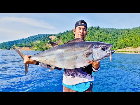 LAGJ KAILI NALENTORA CIPT RAHMAN ALISTA LABEAN LAGU DAERAH SULAWESI TENGAH