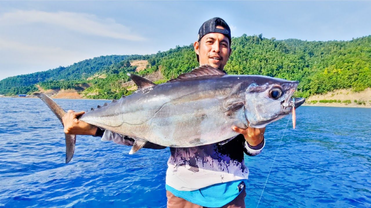 Tarikannya Sampai Bikin Saya Panik Gemetar || Saya Kira Dibegal Ternyata Babon Dogtooth Tuna😱