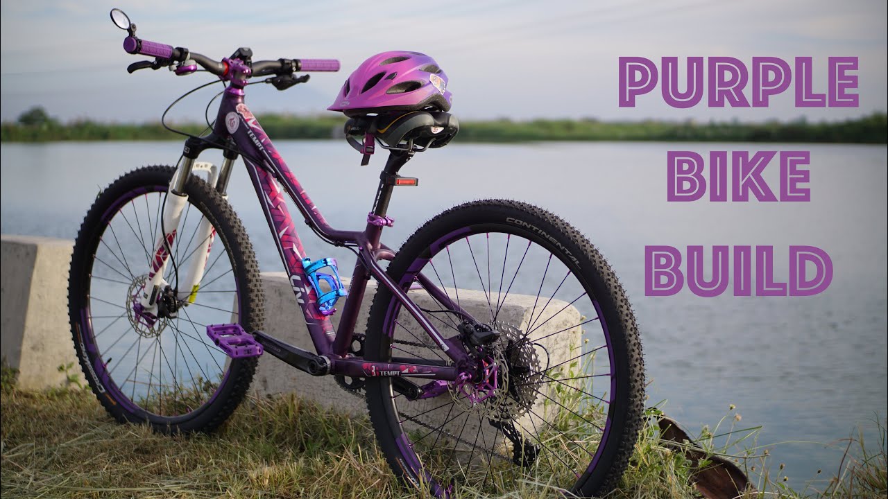 Purple Bike Build (Giant Tempt 4)
