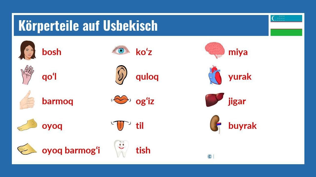 Körperteile auf Usbekisch