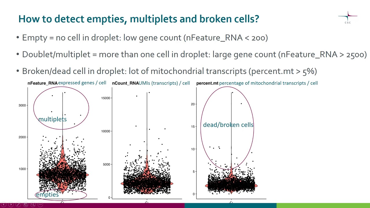 scRNA seq  Quality control and filtering cells
