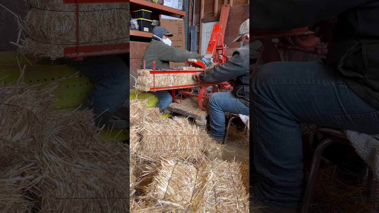 Feeding wires around the mini straw bales 