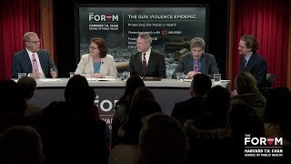 The Gun Violence Epidemic: Takeaways