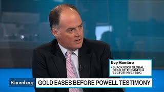 Gold Prices to Remain Well-Supported, BlackRock's Hambro Says