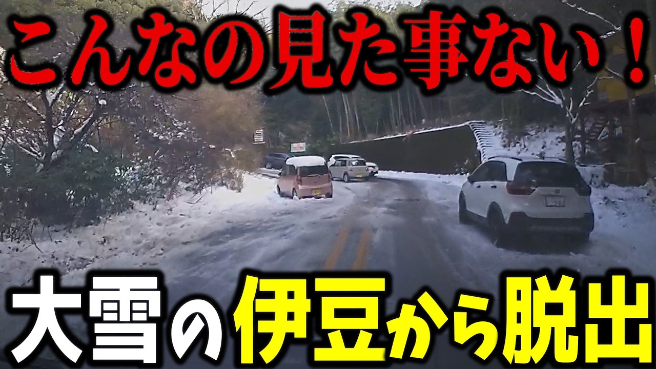 【過酷】20年に一度の大雪で陸の孤島と化した伊豆半島から脱出せよ！