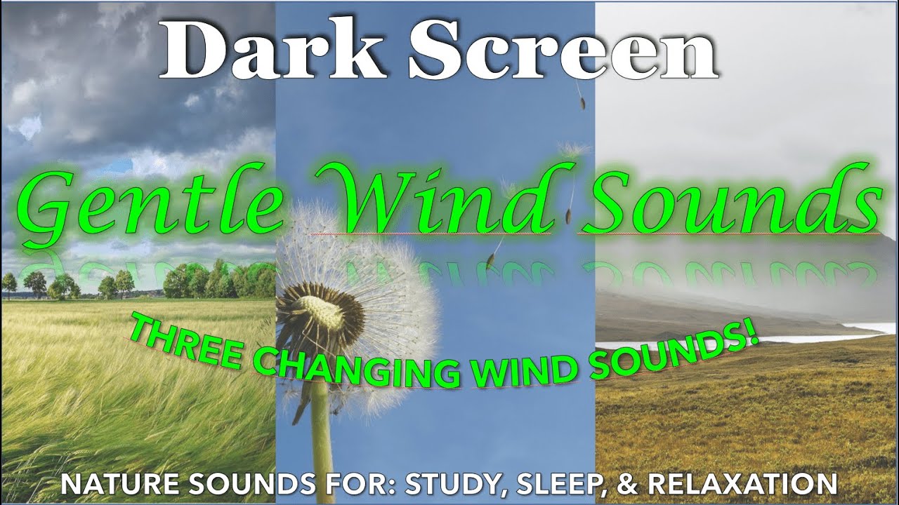 Soft Changing Wind Soundscape for Studying, Sleeping or Relaxation | DARK SCREEN