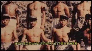 VOA卫视(2016年6月26日 第一小时节目 完整版)