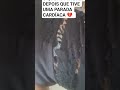 #noticias