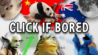 3 Minutes 44 Seconds Of Useless Random Information