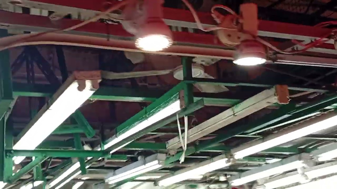 SMC industrial series K48 ceiling Fan & wing ton industrial wall fan by shop 