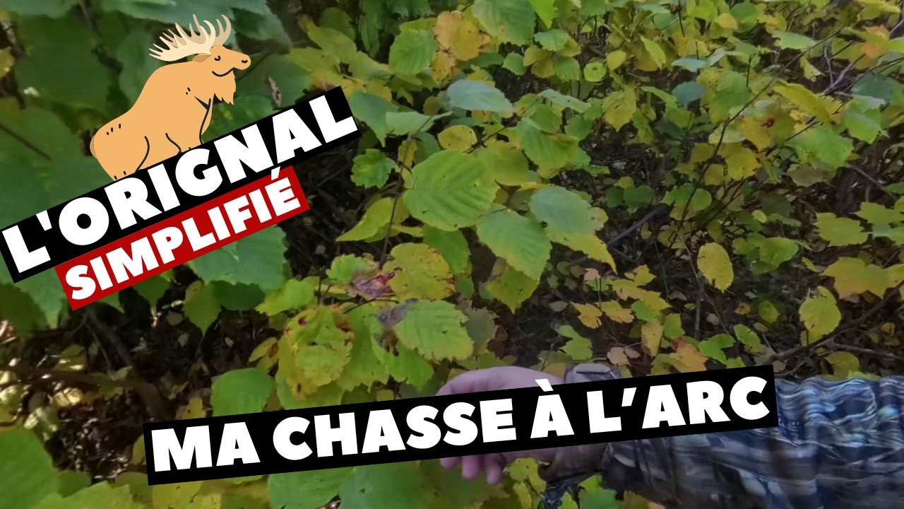 Chasse à l’orignal à l’arc 🎯 + Vélo électrique & recherche de gibier !