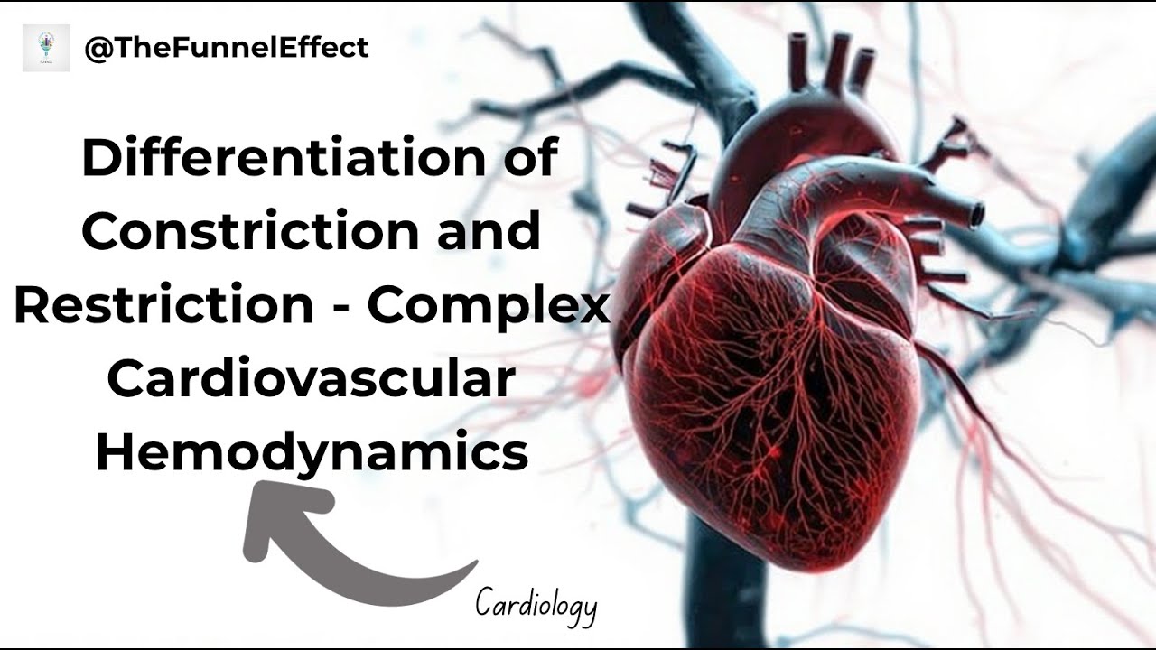 Differentiation of Constriction and Restriction -  Complex Cardiovascular Hemodynamics