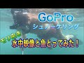 GoPro付けてモリ突きしてみた