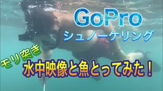 GoPro付けてモリ突きしてみた