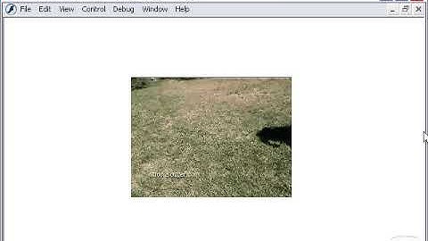 Adobe macromedia Flash Mx Importing videos urdu / hindi  tutorial
