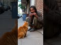 🐱💔Bir Kedi, Bir Dilenci ve Unutulmayacak Bir An… #sevimlikedi #cat #kedi...