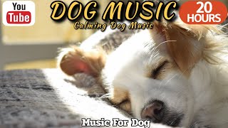 20 HOURS of Dog Calming Music🦮💖Anti Separation Anxiety Relief Music🐶🎵Dog TV Music⭐Healingmate by HealingMate - Dog Music 33,549 views 3 weeks ago 20 hours