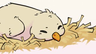 He's Sleeping | Baby Chick Animatic