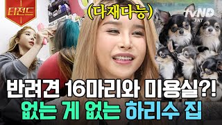 [#티전드] 하리수가 스타일링한 수제 가발들과 강아지 합창단이 공존하는 리수 하우스💒 | #프리한닥터M