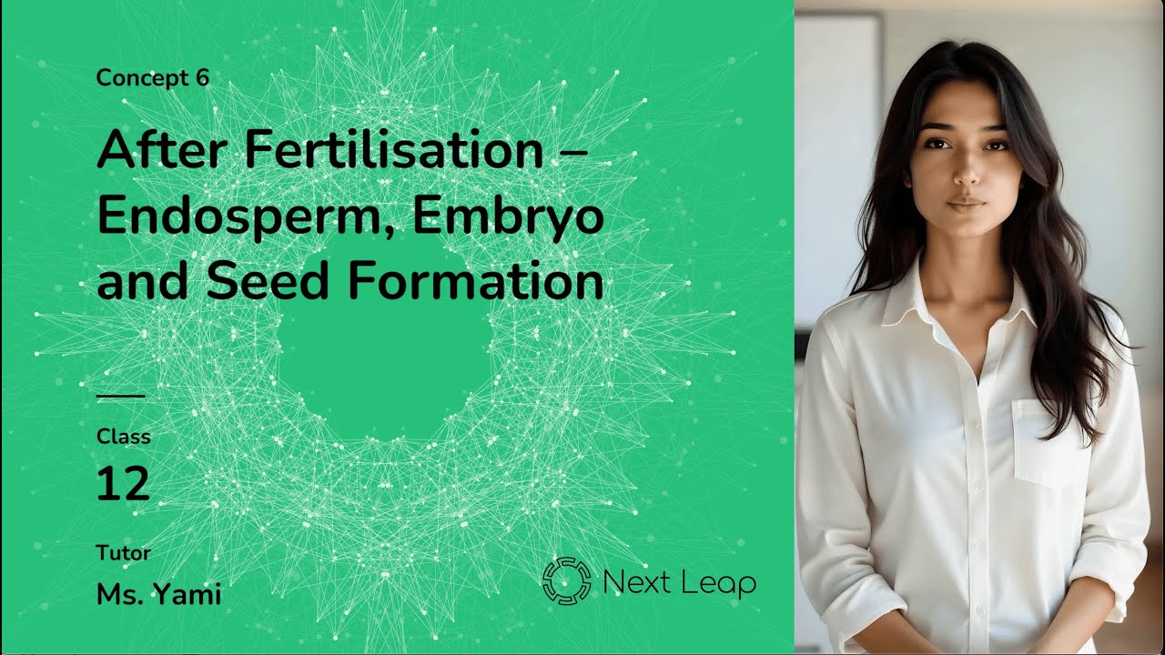 After Fertilisation – Endosperm, Embryo and Seed Formation | Class 12 Biology