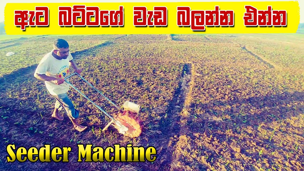 seed drill machine | ඇට බට්ටා| ATA BATTA|Hand Push Seeder Machine | nadagamkarayo 384