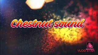 Chestnut Sound screenshot 5