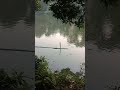 #fish