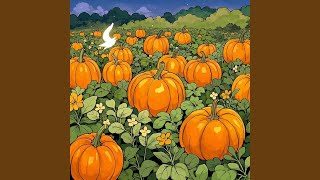 Pumpkin Patch Magic