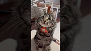 Vicdanlara Seslenen Abone Çağrısına Kulak Ver