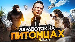 :     GTA 5 RP -     5 