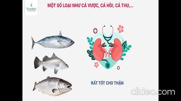TUẦN 6  - TNXH 3 -  VỆ SINH CƠ QUAN BÀI TIẾT NƯỚC TIỂU