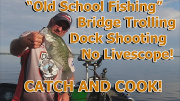 DOCK SHOOTING FOR CRAPPIE Trolling The Bridge | CATCH AND COOK Ep 2921