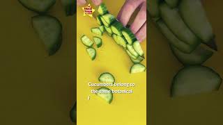 #cucumber #didyouknow #foodfacts #cuttingskills #veggies #momlife #dadlife #shorts #asmr