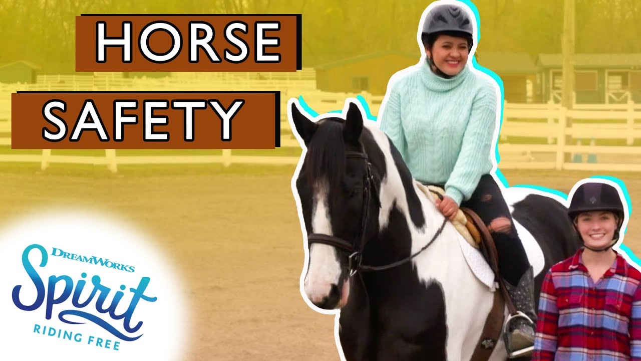 Top 3 Horse Safety Tips Every Beginner Should Know! THAT'S THE SPIRIT YouTube